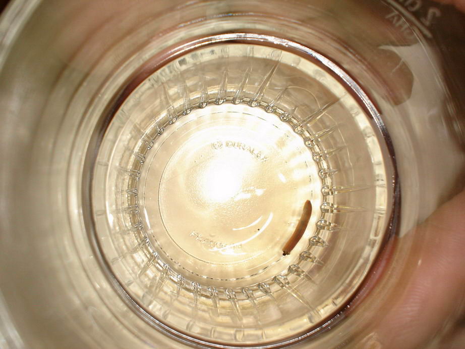 Lager 05 032
