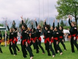 Tn showturnen 05 047