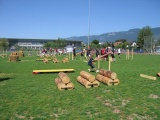 Tn IMG 1031