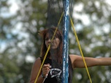 Tn DSC 7308