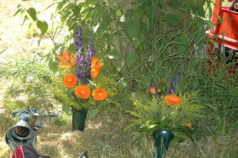 DSC 5225