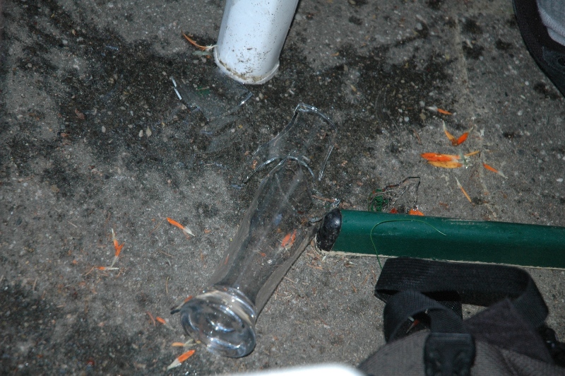 DSC 5434