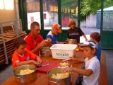 Tn sarnen08 11