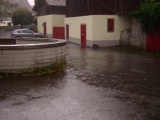 Tn sarnen08 91