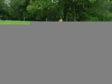 Tn P1000331