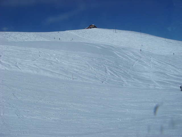 DSC02436