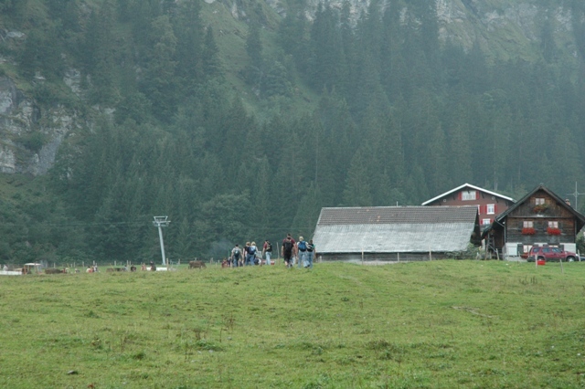 DSC 5229