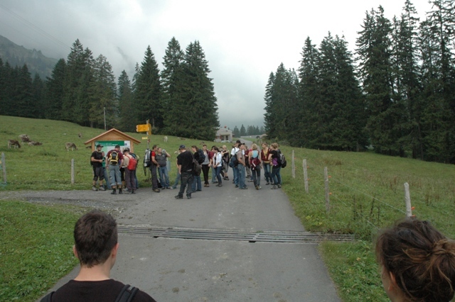 DSC 5235
