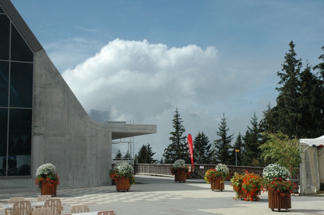 DSC 5403