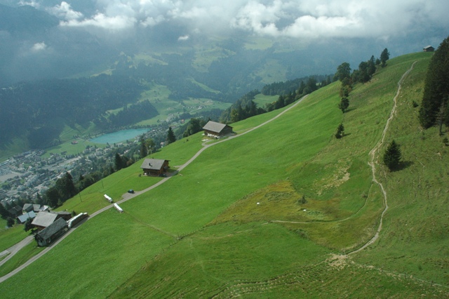 DSC 5414