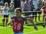 Tn ELE 8823