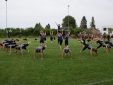 Tn DSC09005 600x402