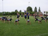 Tn DSC09006 600x402
