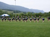 Tn DSC09009 600x402