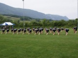 Tn DSC09010 600x402