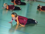 Tn ELE 4429