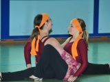 Tn ELE 4431