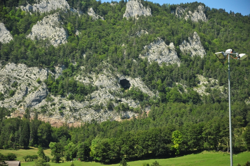 ELE 2266