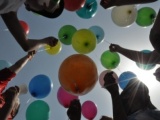 Tn DSC 0711