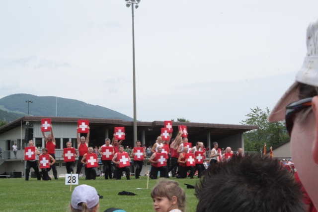 IMG 2517