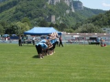 Tn IMG 1862