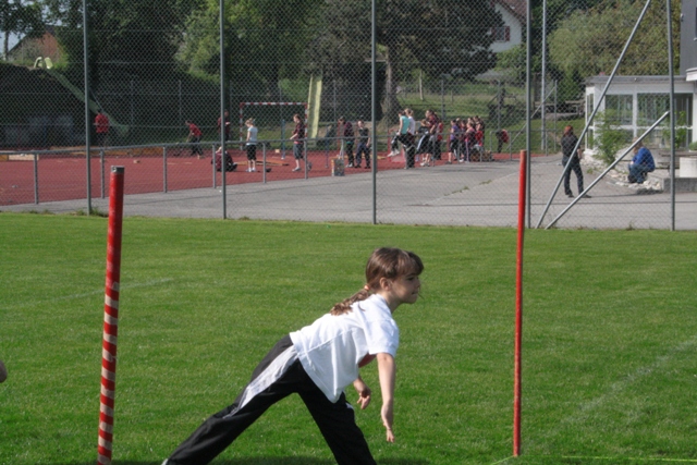 IMG 1484
