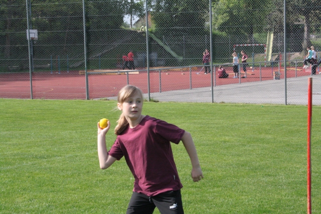 IMG 1485