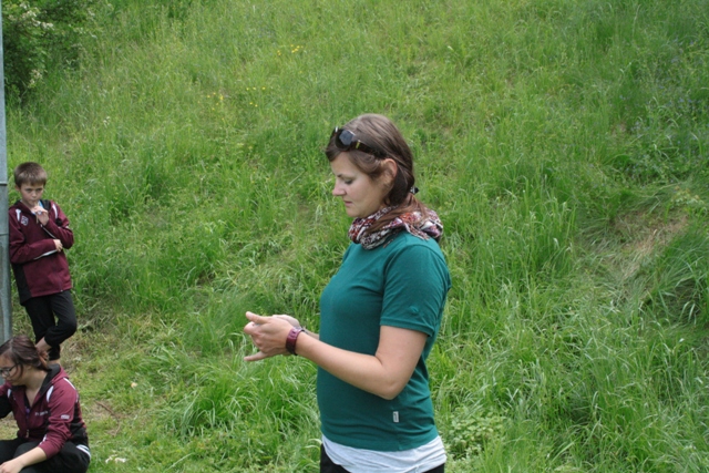 IMG 1538