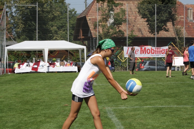 IMG 3291