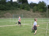 Tn IMG 7946