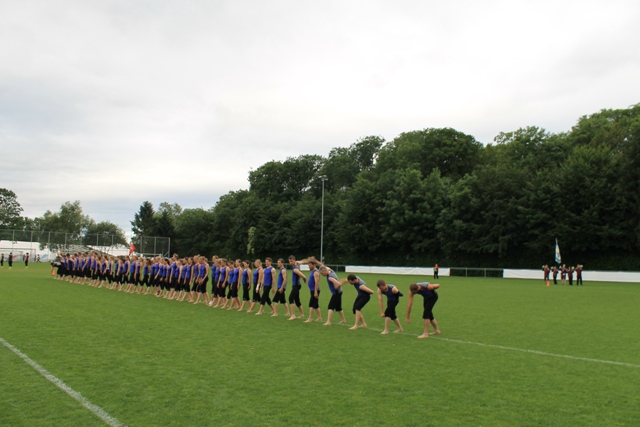 IMG 7385