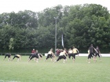 Tn IMG 7153