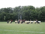 Tn IMG 7155