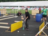Tn IMG 6410