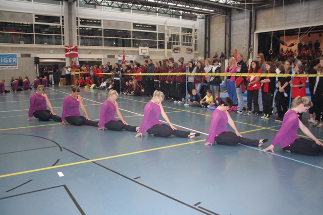 IMG 7593