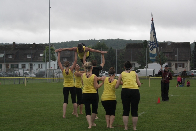 IMG 7733