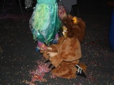 Tn IMG 4530