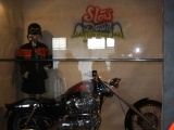 Tn IMG 4539