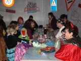 Tn IMG 4569