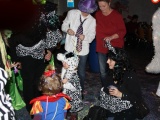 Tn IMG 4616