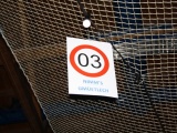 Tn IMG 4799