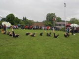 Tn IMG 5929