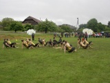 Tn IMG 5942