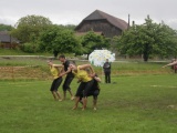 Tn IMG 5947