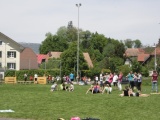 Tn IMG 5717