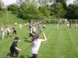 Tn IMG 5773