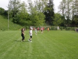 Tn IMG 5778
