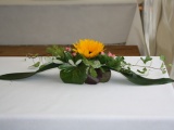 Tn IMG 0773