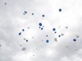 Tn IMG 0812