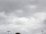 Tn IMG 0816